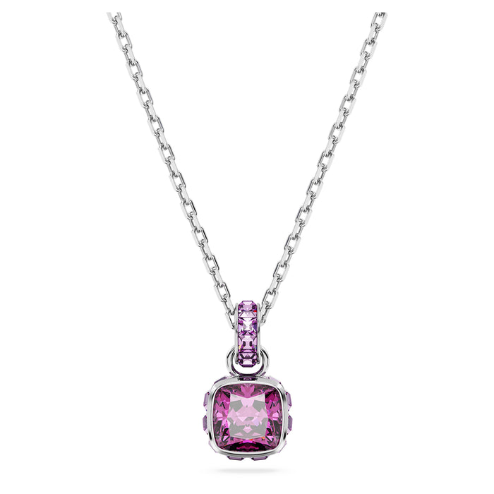 Swarovski February Birthstone Necklace