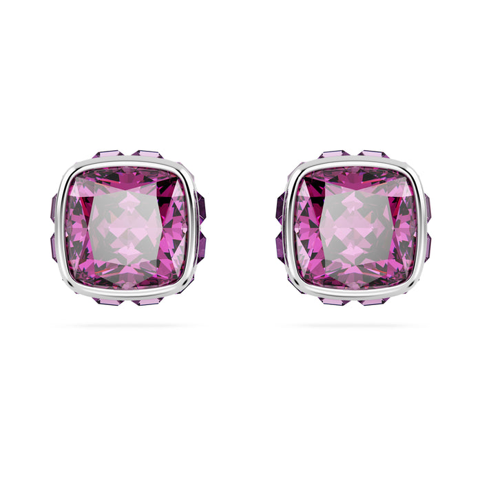 Swarovski February Birthstone Earrings